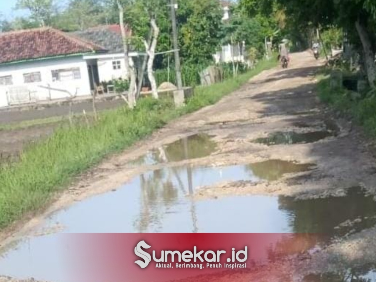 Foto. Kondisi jalan menuju Asta Panembahan Belingi dan Nyamplong Adi Podey, Raja Sumenep ke-12. 
