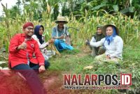Foto. Kebersamaan Bupati Sumenep saat bersama Petani beberapa Bulan Lalu