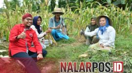 Foto. Kebersamaan Bupati Sumenep saat bersama Petani beberapa Bulan Lalu